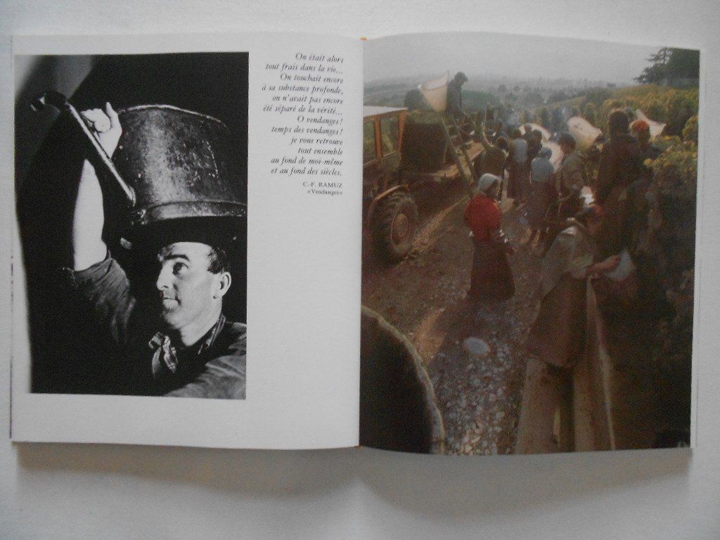Libri: LE VIN VAUDOIS – Usato da Bex venduto da Giorgiob 2