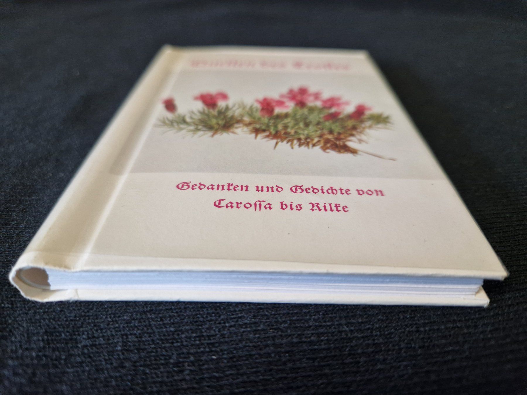 Libri: "Quellen es Trostes" – Usato da Muhen venduto da Restwert_Muhen 3