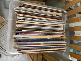 Vinyl Schallplattensammlung, Über 30 Platten!