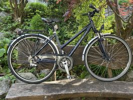 Damen City Fahrrad STEVENS