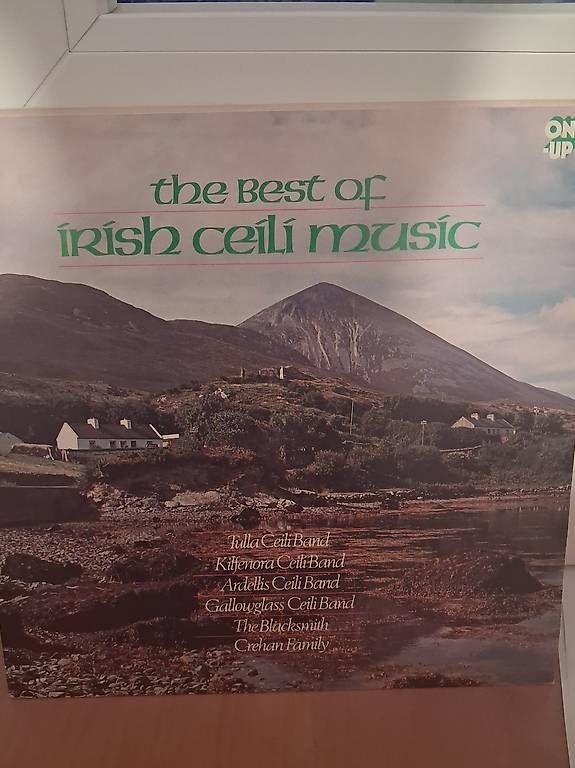 Dischi in vinile: 5x Irish-Folk auf Vinyl – Usato da Niederönz venduto da bea_fn77 3