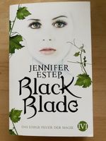 Das eisige Feuer der Magie/Black Blade - Jennifer Estep