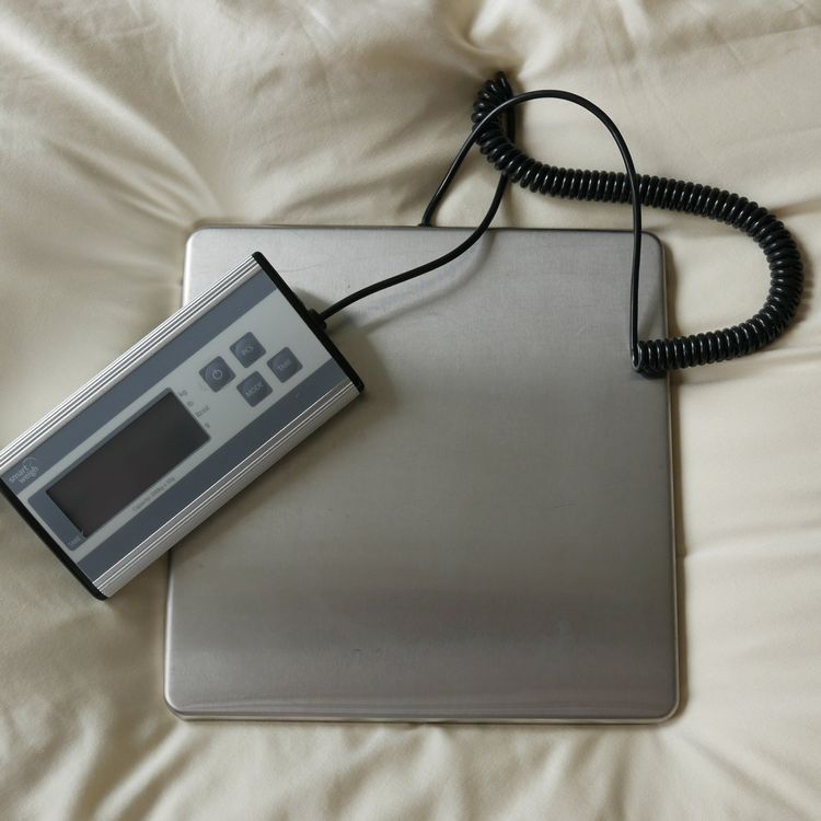 Balance Postale Électronique 34 Kg – Précise Pour Colis & Lettres + Adaptateur Secteur Offert (valeur 6,5 €)