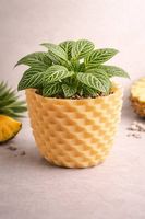 Selbstbewässernder Blumentopf im Ananas-Design (3D Druck)