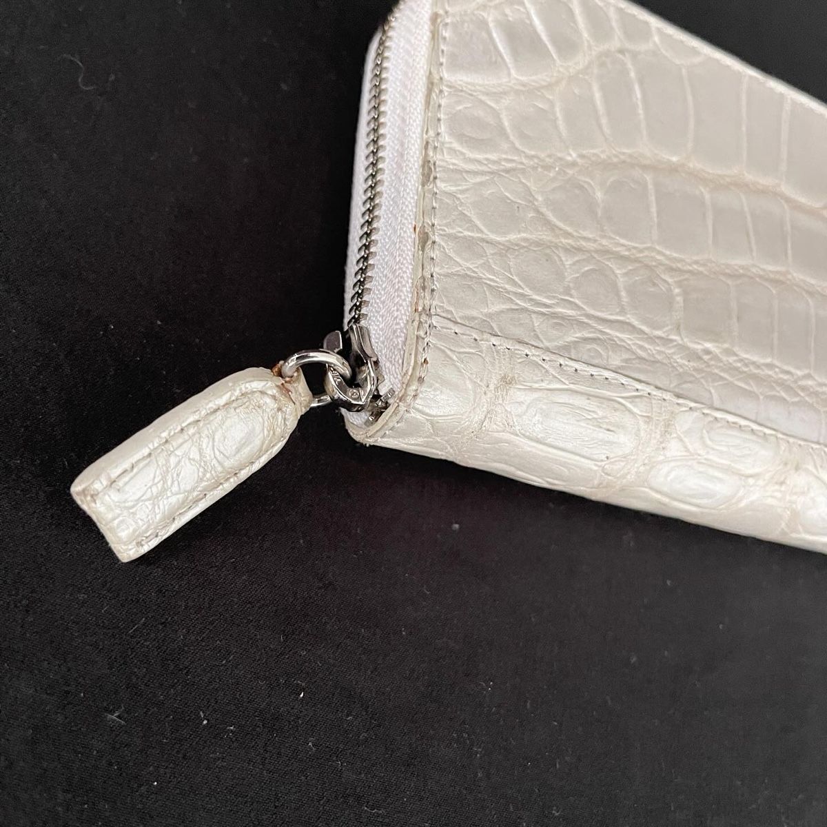 Portafogli: CROCODILE LEATHER Wallet – Usato da Emmen venduto da Avviivva_Com2023 3