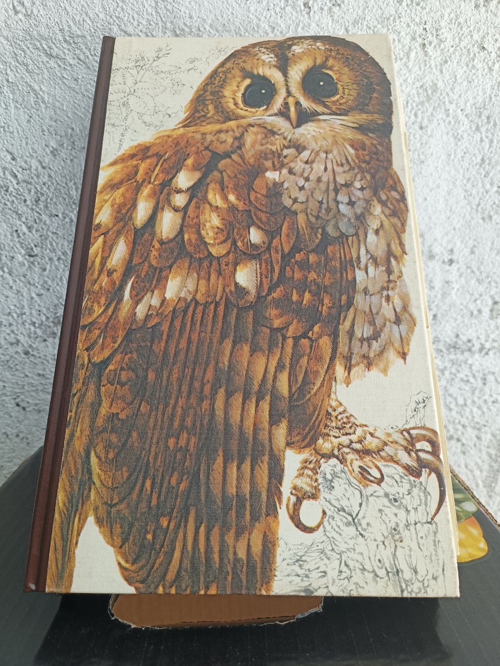 Libri: le Guide des oiseaux, Sélection édition  – Usato da Corsier-sur-Vevey venduto da Cascade