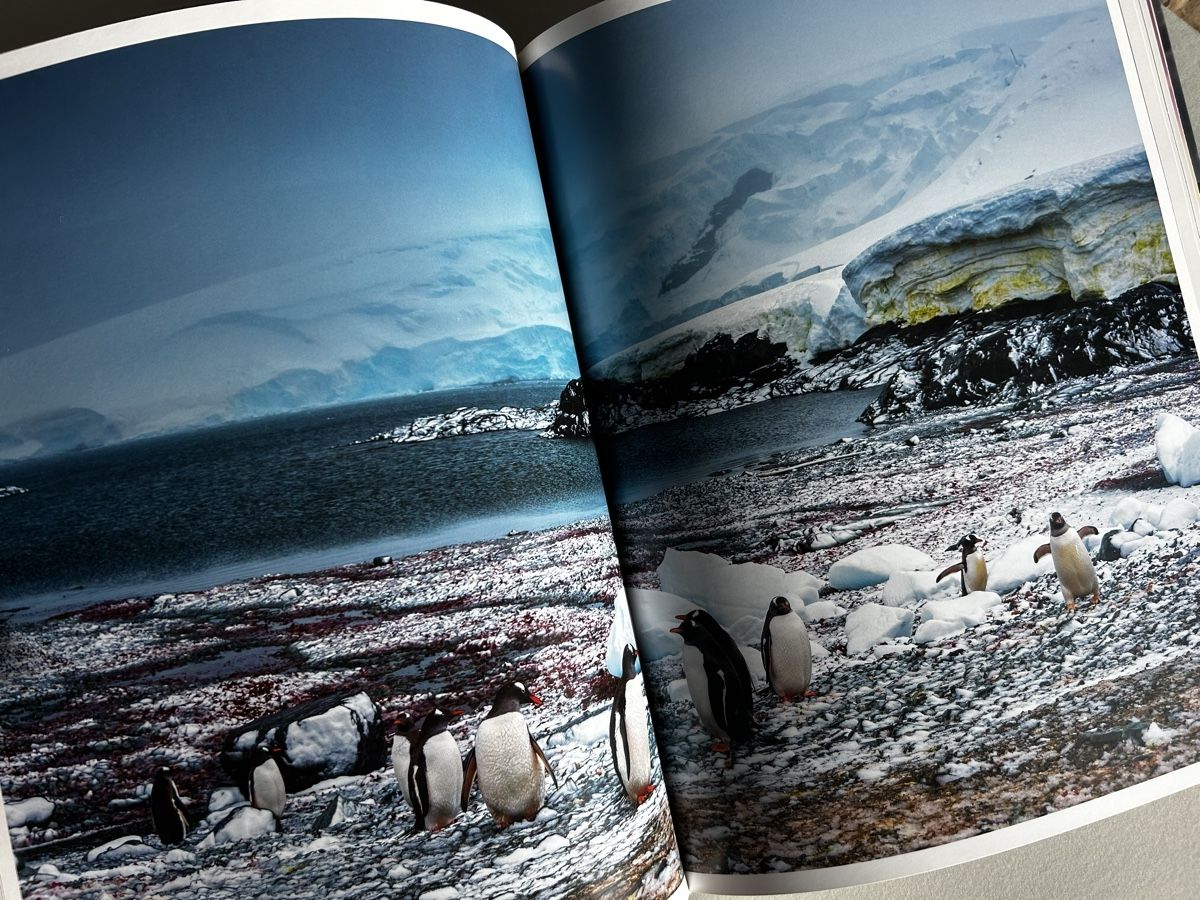 Bücher: Stefan Forster - Chasing Light. Photo Book. NEW! – Neu (gemäss Beschreibung) aus Zürich von Coffeetable88 2