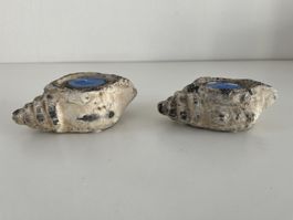 2 Stk. Muschel-Schnecken - Teelichter