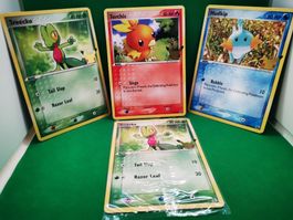 Pokemon 25th Anniversary XXL Karten Set Nr. 3 - Hoenn 3er