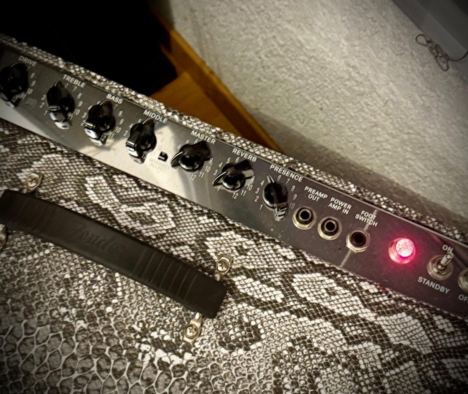 Fender Amplificateurs: Fender Hot Rod Deluxe "PYTHON" Verstärker serviced/Neuwertig – Neuf (Voir description) à Zürich par Hecktriebler 3