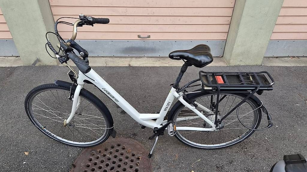 Leopard Biciclette: Leopard Vita City E-Bike – Usato da Horgen venduto da domdomdomdom