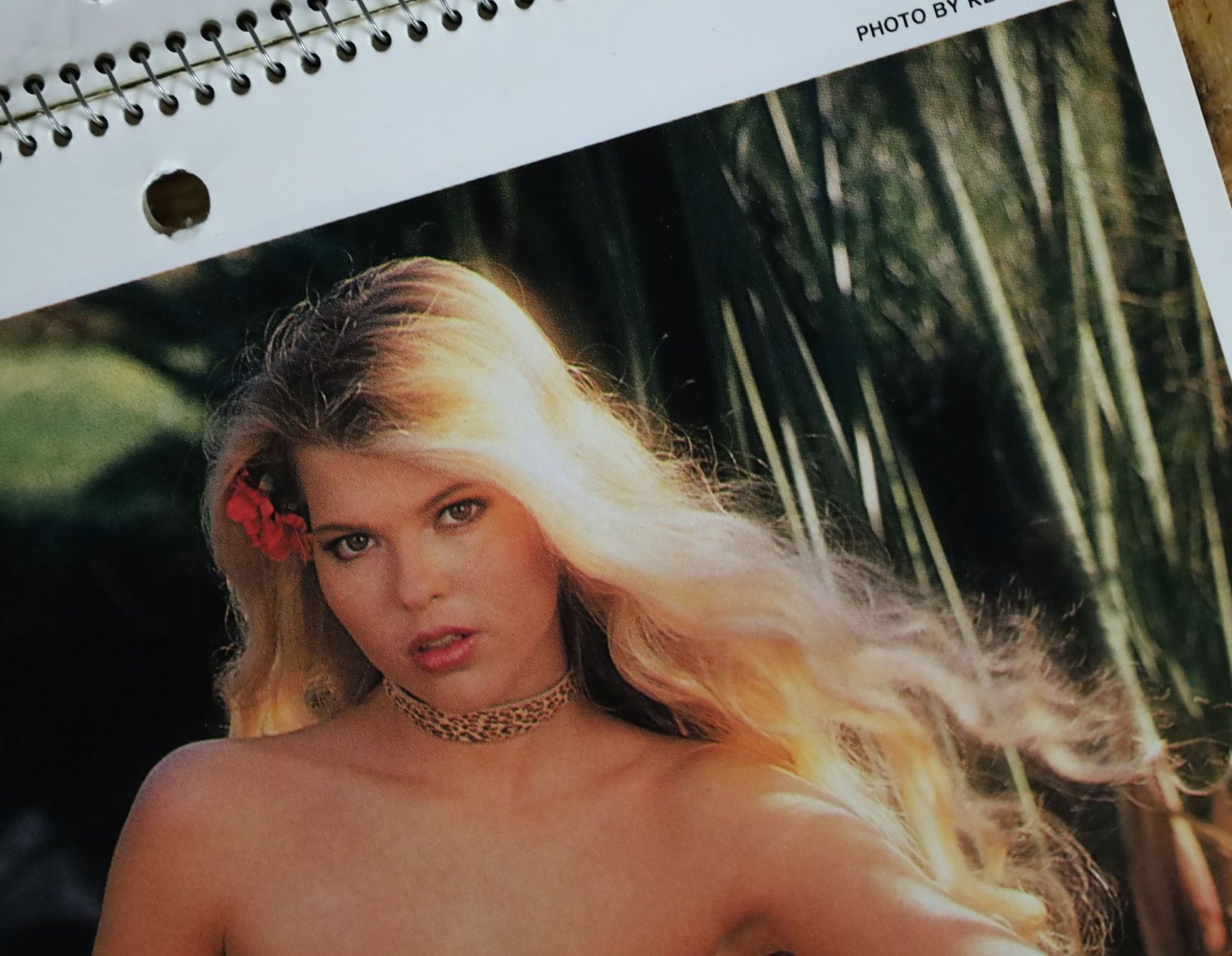 Playboy Calendari: PLAYBOY Kalender 1984 – Usato da Birrwil venduto da brandschatz_birrwil 3