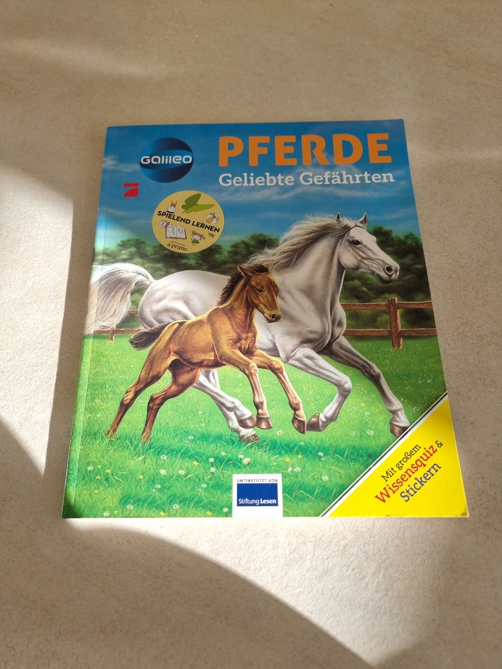 Libri: Pferde - Geliebte Gefährten – Usato da Ortschwaben venduto da Patrick1978