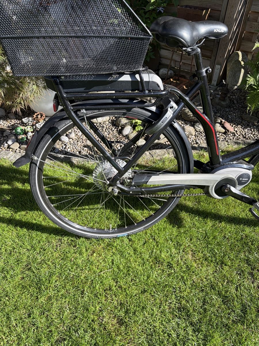 Flyer Velos: Flyer eBike mit tiefem Einstieg, Bosch Motor – Gebraucht aus Winterthur von silen 4
