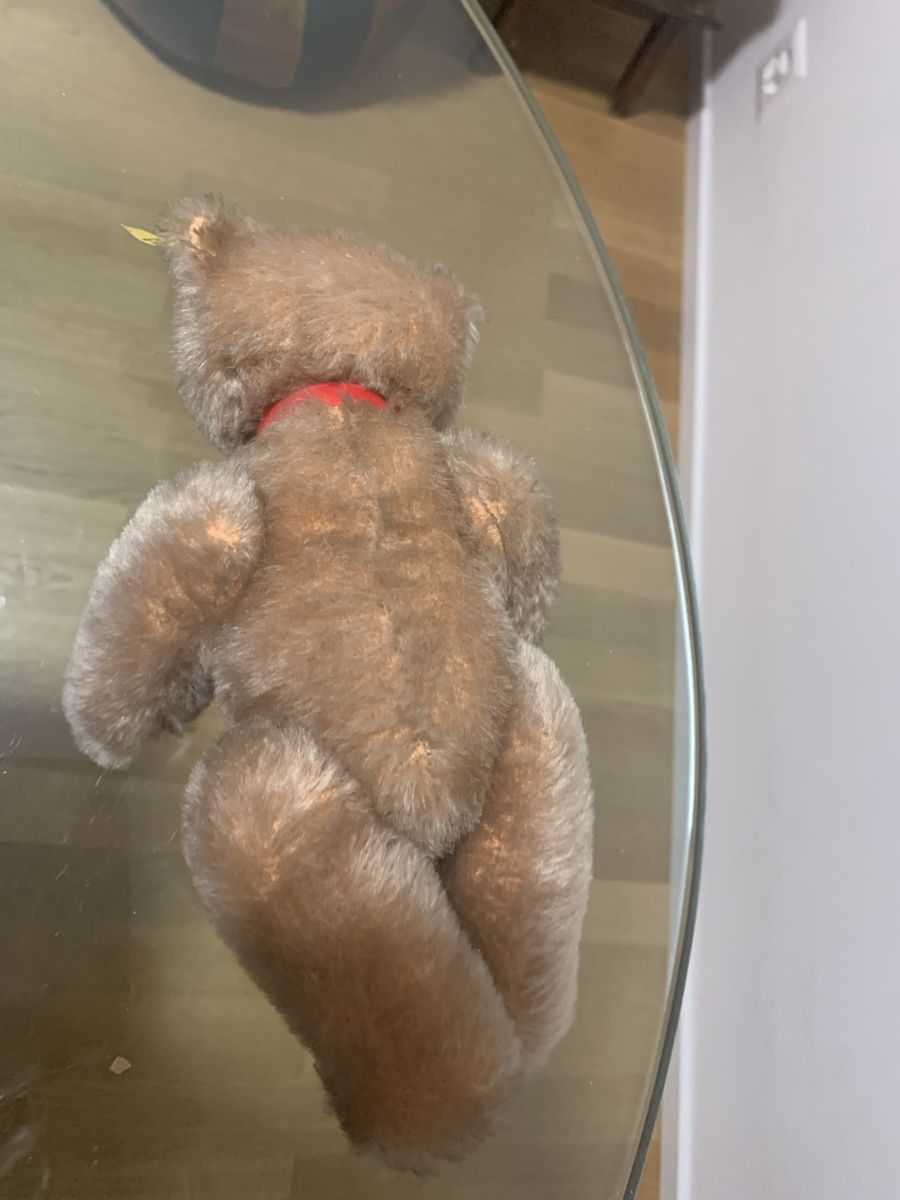 Steiff Giocattoli: Antique Bärli – Nuovo (secondo la descrizione) da Basel venduto da ani_9wqt 3