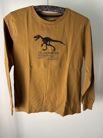 Next Longsleeve T-Shirt, Dinosaur-graphic, Size 146