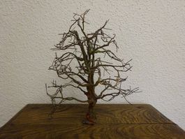 Baum Skulptur / Bildhauer Peter KUNZ