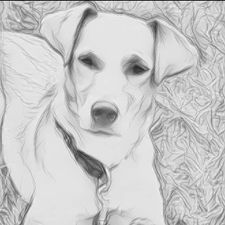 Profile image of kasira