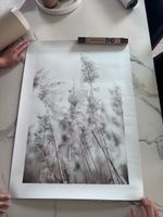 Winterliches Schilf Bild, Kunstdruck, Natur Deko, Neu!