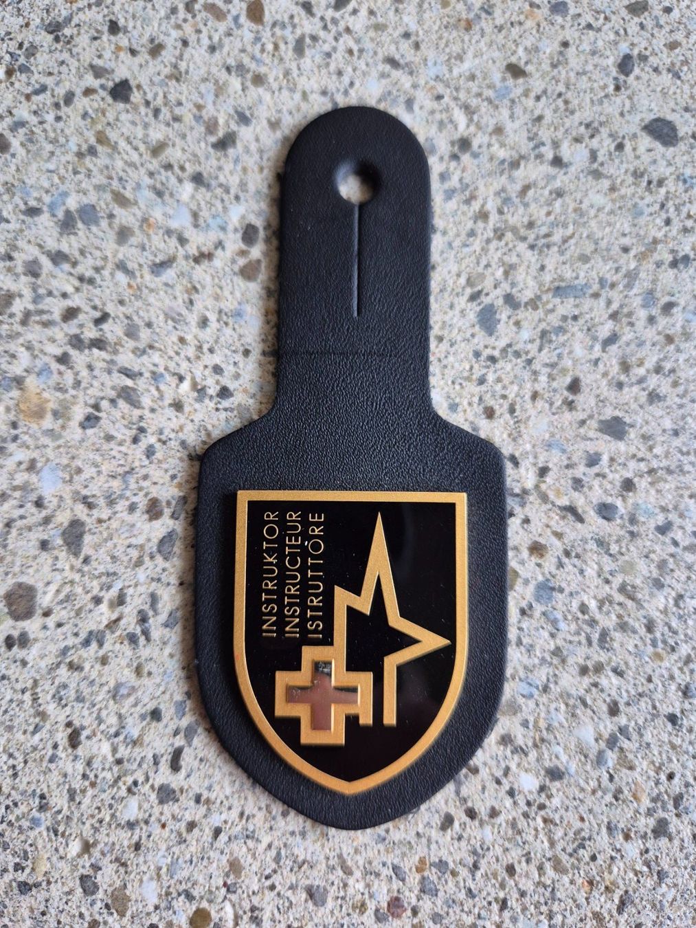 Schweizer Armee Placchette & Badge: *** Brustanhänger Instruktor *** – Nuovo (secondo la descrizione) da Riedholz venduto da fr_sIruP