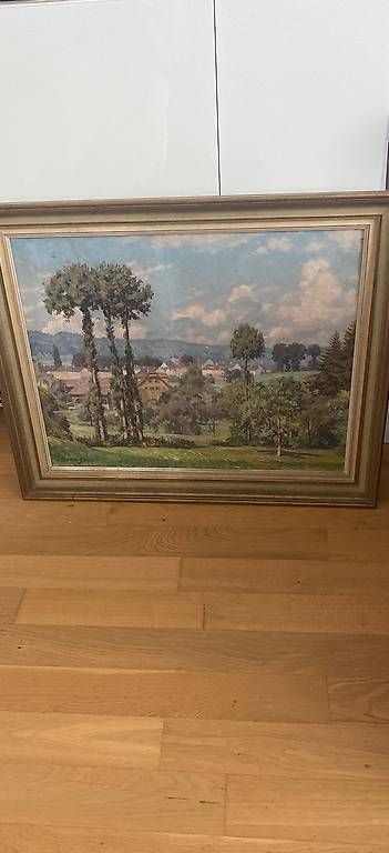 Foto & Immagini: Bild Landschaft – Usato da Neuenkirch venduto da Simano1