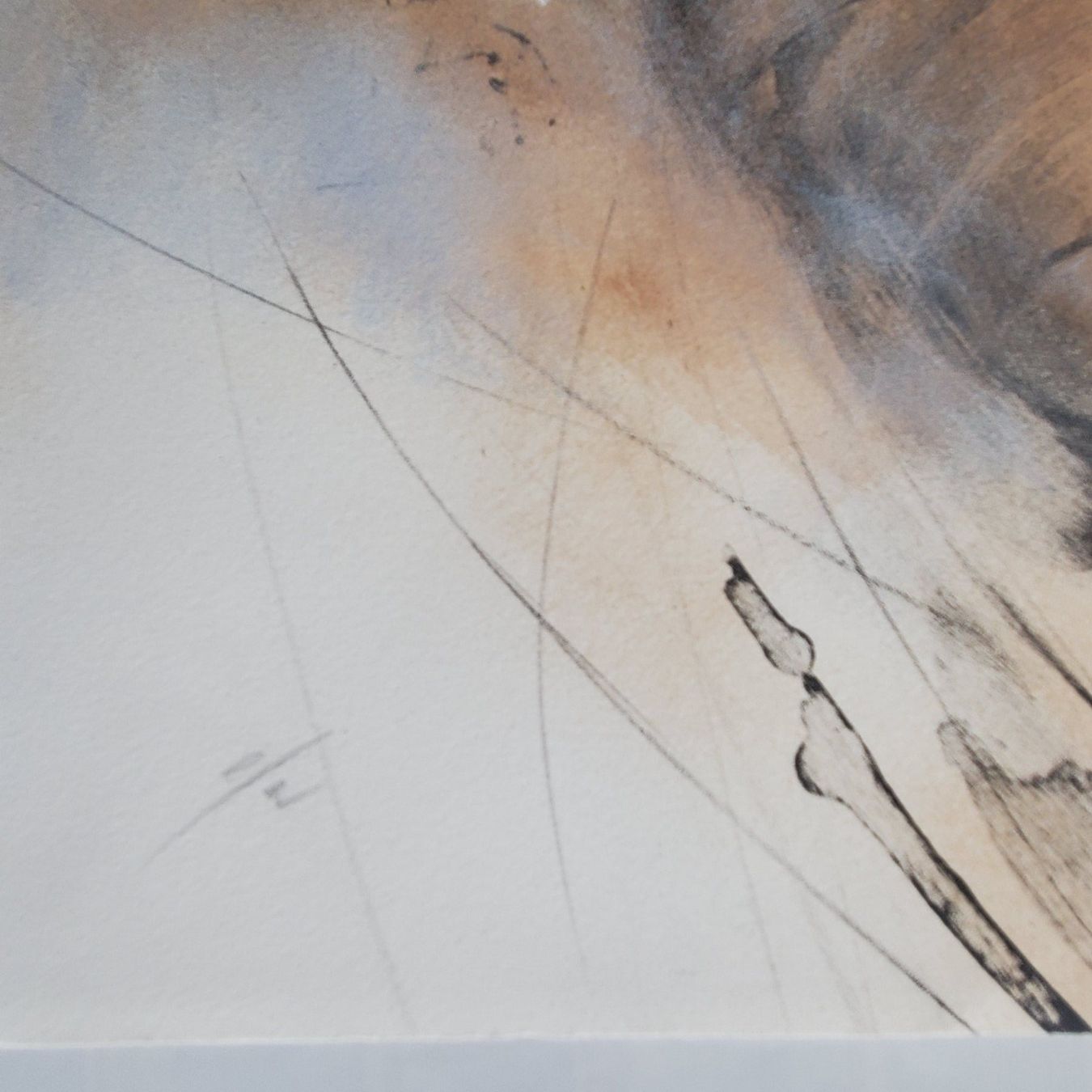 Foto & Immagini: Originale expressive Lithographie Gabriele Mierzwa – Usato da Opfikon venduto da Diversamente 2