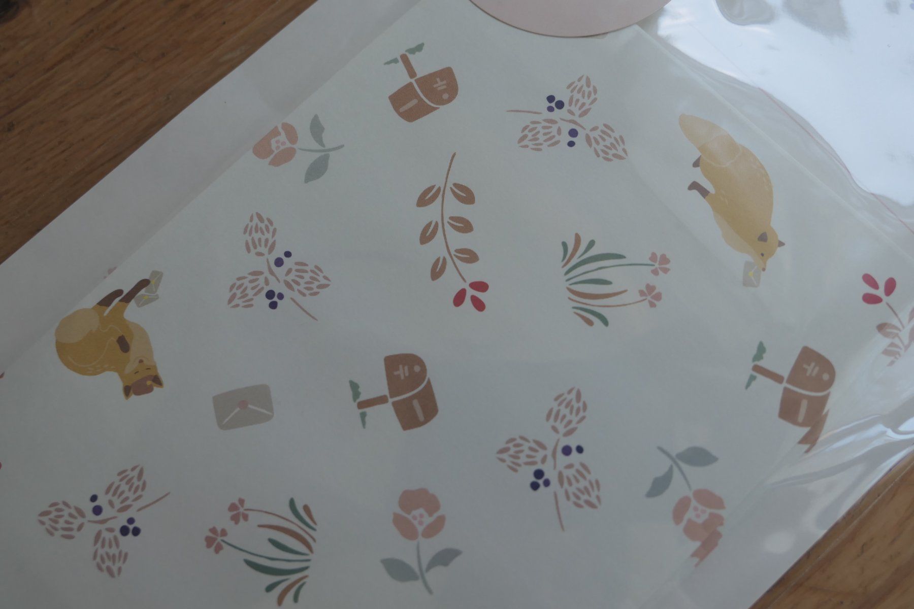 Libri: Letter Brief Set - Kawaii Animals Fuchs Fox – Nuovo (secondo la descrizione) da Ettiswil venduto da maimaiswiss 2