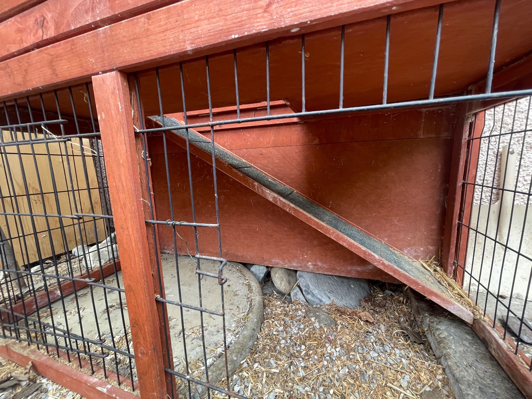 Käfige, Transport & Sicherheit: Meerschweinchengehege – Gebraucht aus St.Gallen von _mari 2