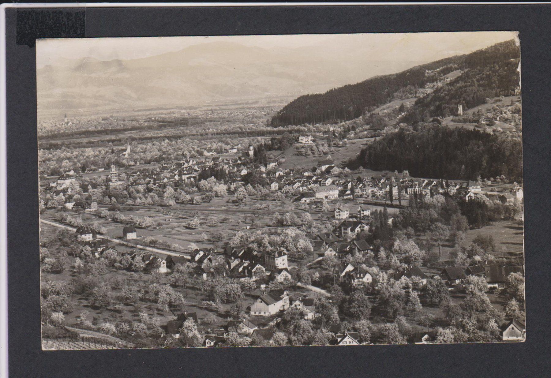 Cartoline postali: Stein Toggenburg  SG   :   alte Ansichtskarte – Usato da Vitznau venduto da Ropaku