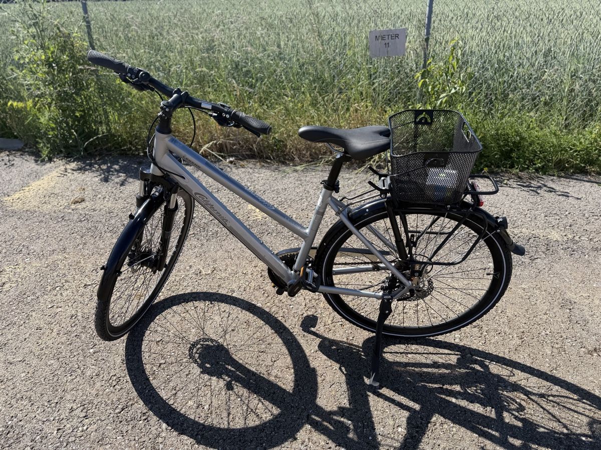 Velos: California Velo - Damenrad 28 Zoll Rahmenh. 48cm CHF - Top!! – Gebraucht aus Dintikon von Micuzzu