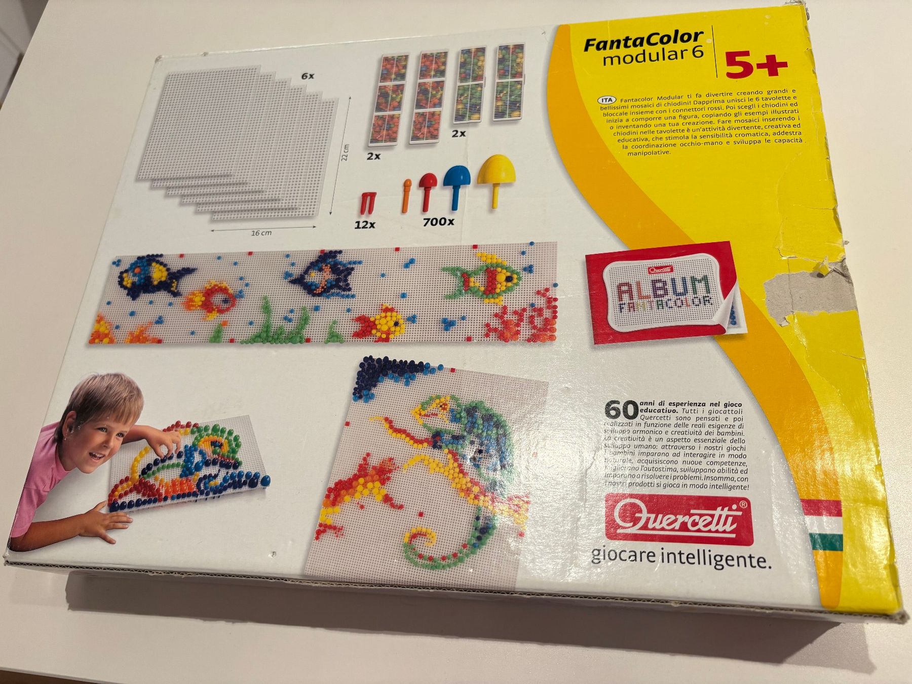 Giocattoli: Fanta Color, Steckmosaike für Kinder, Modular 6 – Usato da Rain venduto da ali_t2vz 1