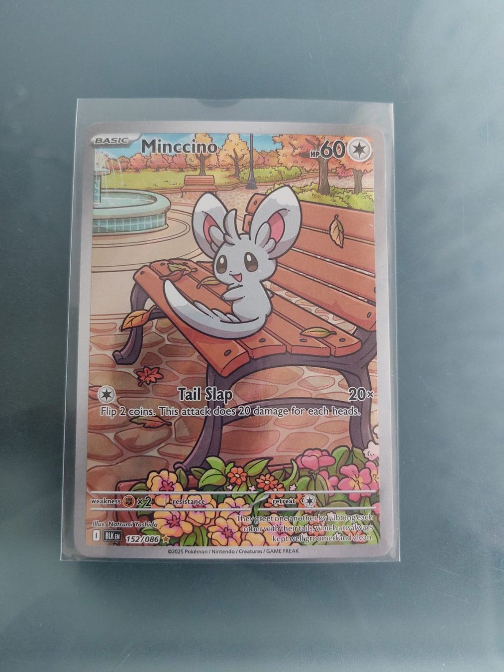 Pokémon Carte collezionabili: Minccino 152 Pokemon Black Bolt – Nuovo (secondo la descrizione) da Igis venduto da magneto_hg