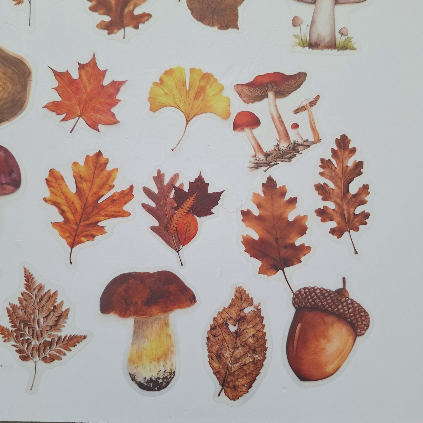 Sticker: 50 Aufkleber Sticker - Herbst – Nuovo e nell'imballaggio originale da Basel venduto da Kunterbunt12 7
