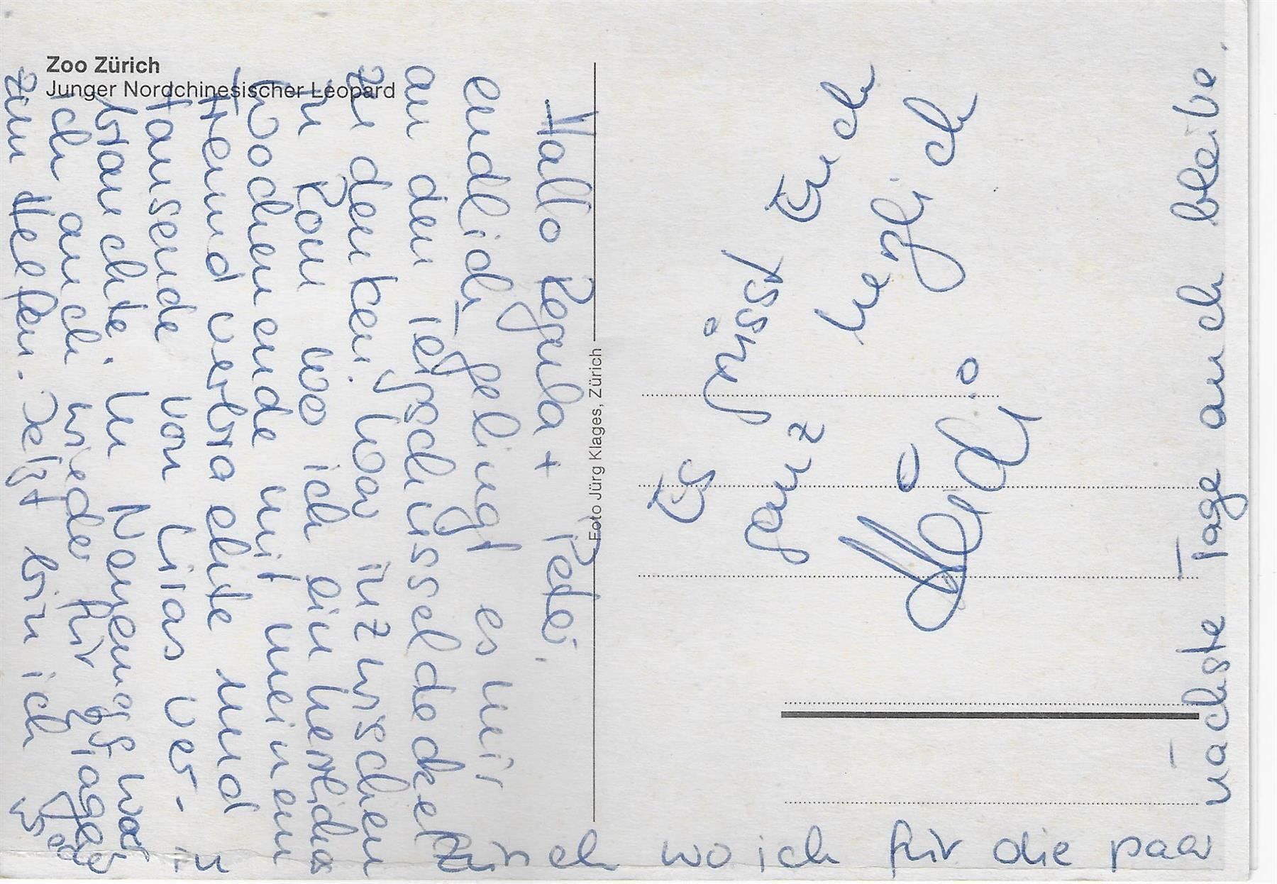 Cartoline postali: Zoo Zürich - Junger Nordchinesischer – Antico da Ettingen venduto da Kartenplanet 1