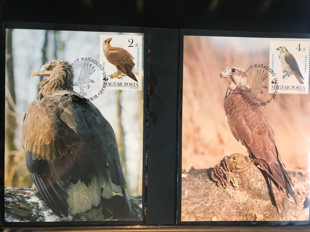 Prophila Collection Guinea-Bissau Briefmarken Kleinbogen - Greifvögel 2001, Postfrisch MNH