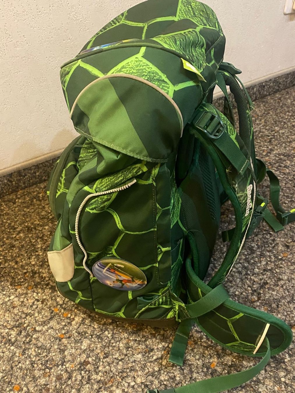 Ergobag Borse & Zaini: Ergobag Schuhlrucksack Set mit 2 Etui – Usato da Dreien venduto da boedmelicity 1