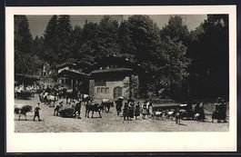 Interlaken, Tell-Freilicht-Spiele, Alpab