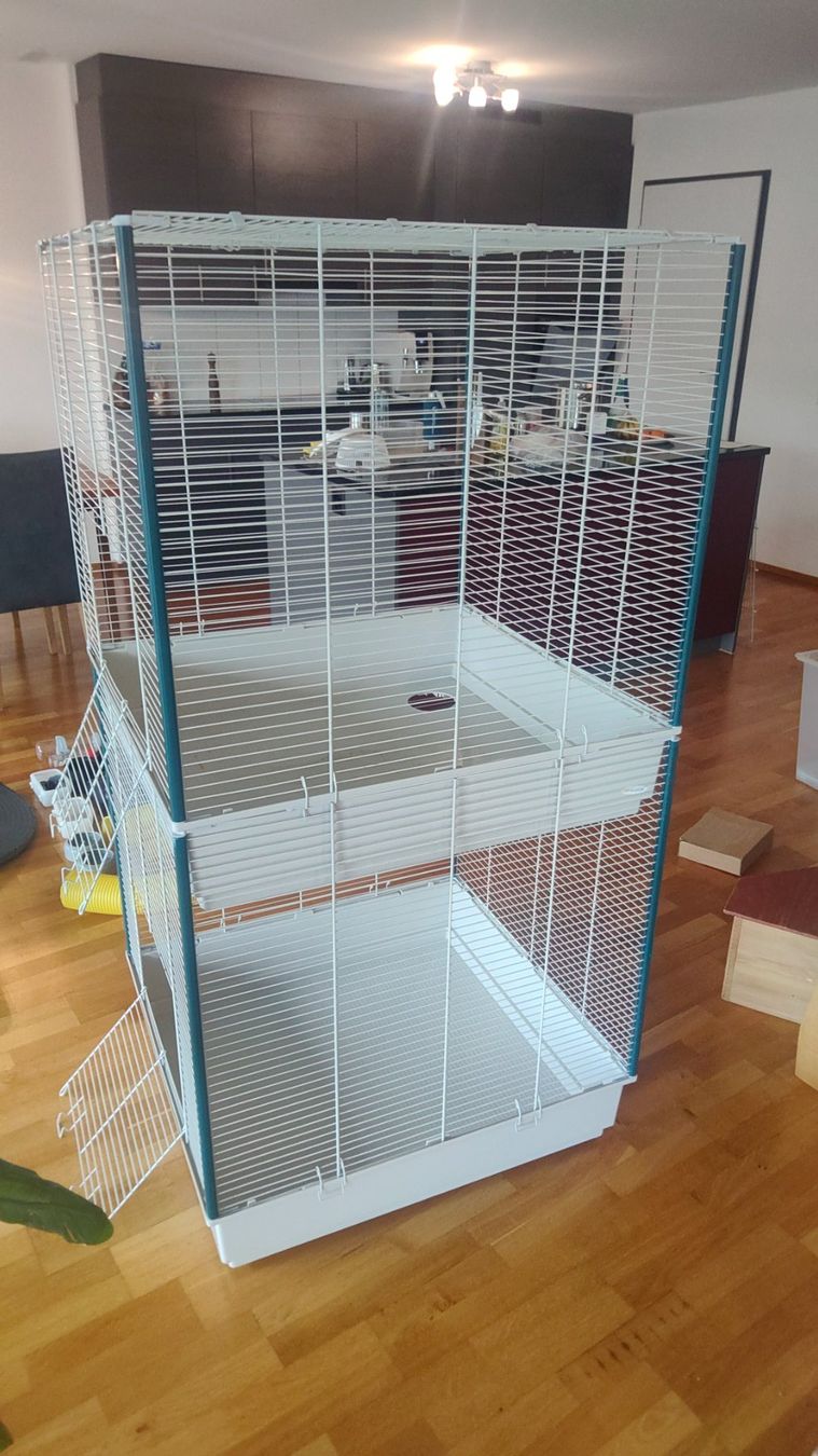 Ferplast Cages, transport & sécurité: Tierkäfig/ Rattenkäfig – D'occasion à St. Gallen par Sevenseas01 1