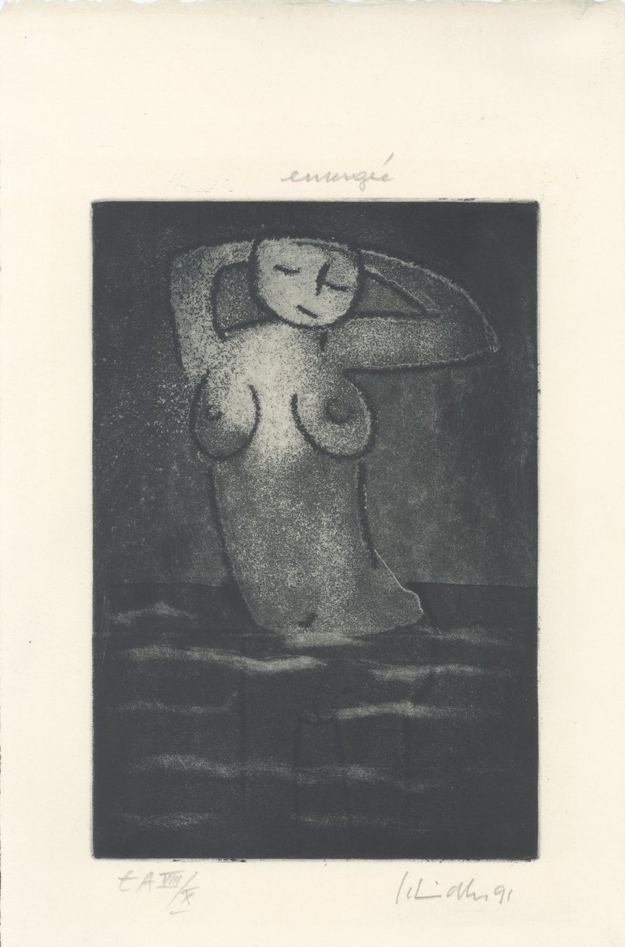 Libri: Schindler Rudolf  "émergée / aufgetaucht" - 1991 – Nuovo (secondo la descrizione) da Biel/Bienne venduto da 07helios032