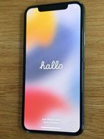 Apple iPhone X 64 GB Space Gray, Akku 89 %, mit Leder-Case