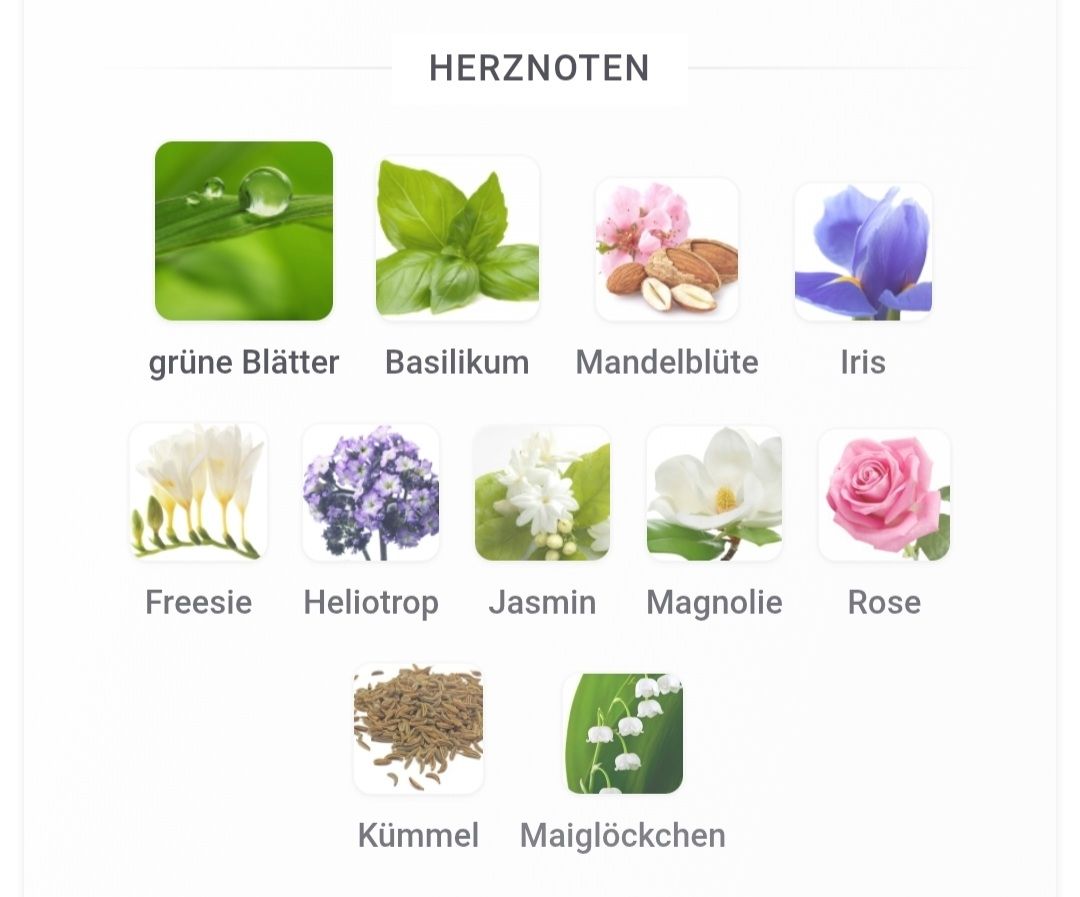 Escada Parfum & Eau de Toilette: ESCADA Magnetism – Gebraucht aus Winterthur von Je. 4