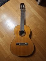 Gitarre Aria AK 35 mit Ritter Tasche