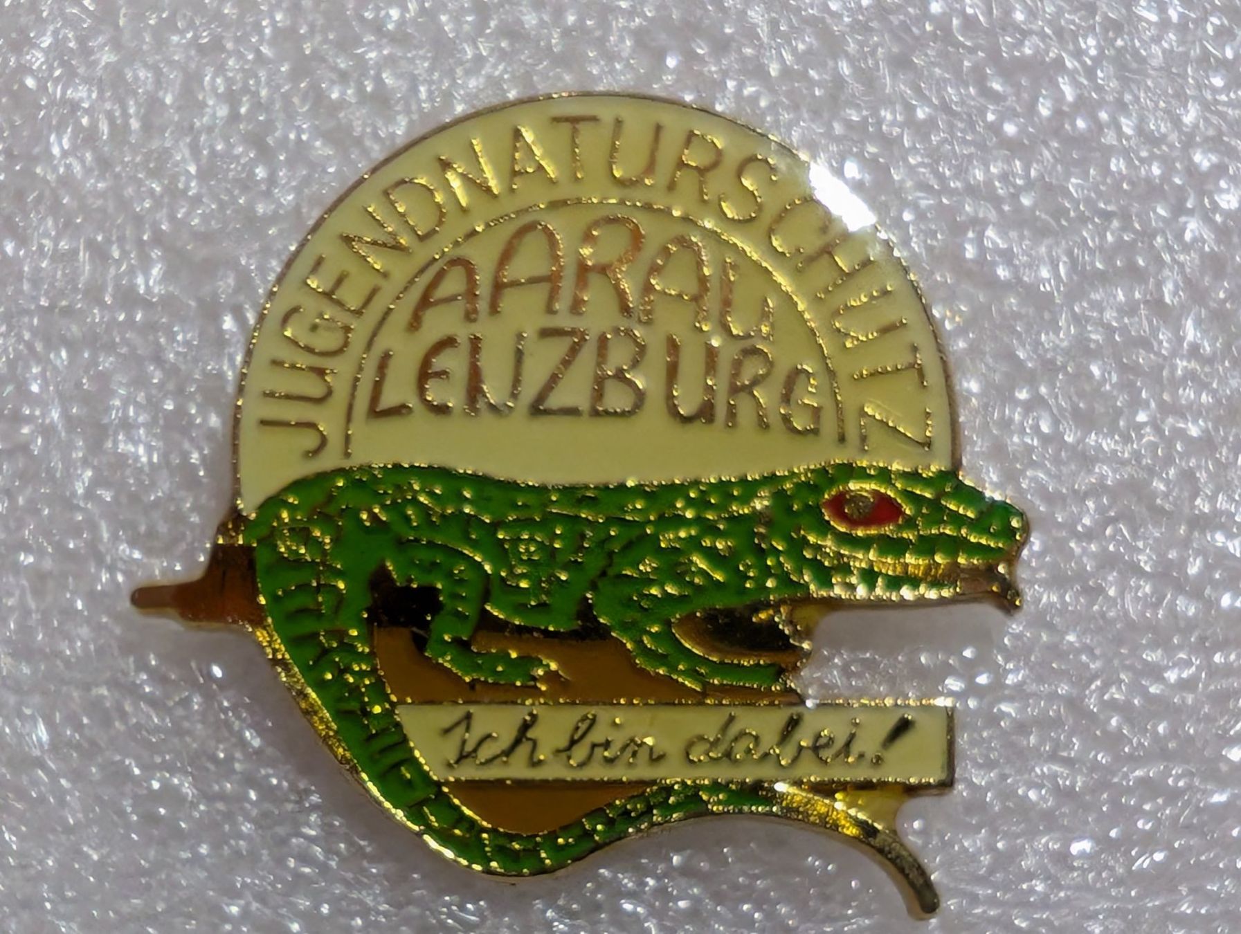 Placchette & Badge: Ansteckpin 214: Jugendnaturschutz Aarau – Usato da Oppligen venduto da Pin-Fall-Shop