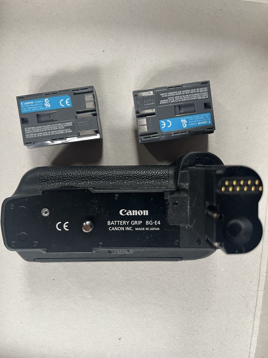 Canon Batterie: Canon Battery Grip BG-E4 inkl. 2x Batterie – Usato da Chur venduto da Misssami 1