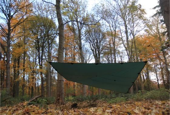 DD Hammocks Altro per Esercito: DD Hammocks Tarp 4 x 4 Oliv grün Regendach – Nuovo e nell'imballaggio originale da Tulln venduto da HaengemattenShop 6