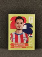 Panini Wm 2026 Sticker :Damián Bobadilla Par 11