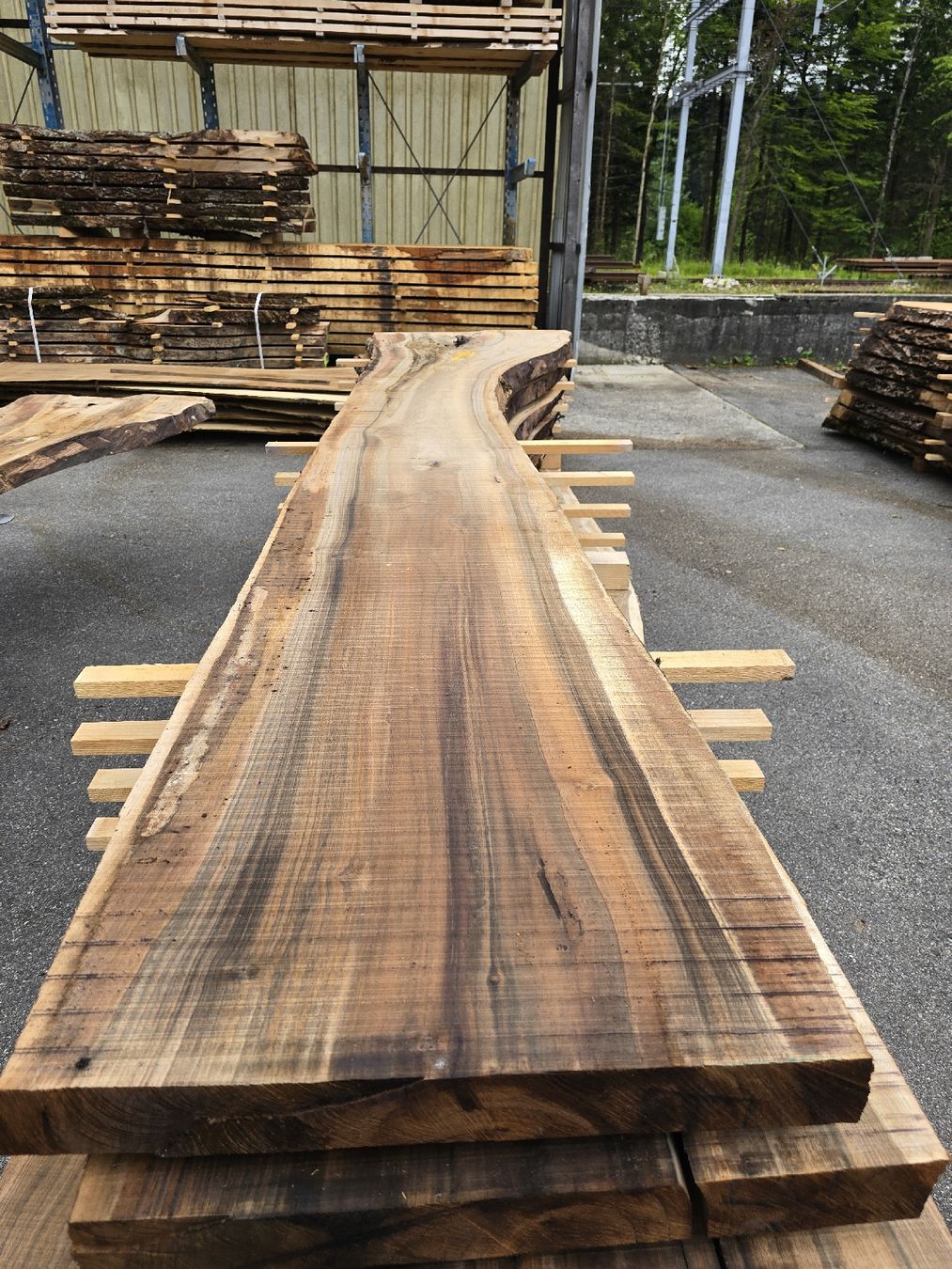 Articoli in legno: Nussbaumstamm – Nuovo (secondo la descrizione) da Ramsei venduto da Waelchris 1