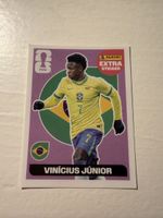 Panini Extra Sticker