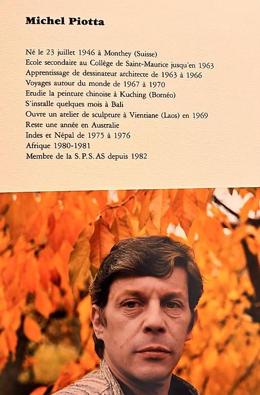 Tableaux: Michel Piotta – Neuf avec emballage d'origine à Vevey par cat_tw2s 2