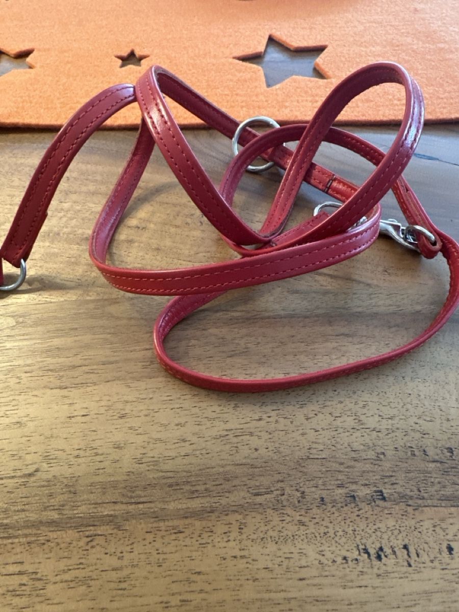 Guinzagli & Collari: Hundeleine – Usato da S. Antonino venduto da Swissbutler 1